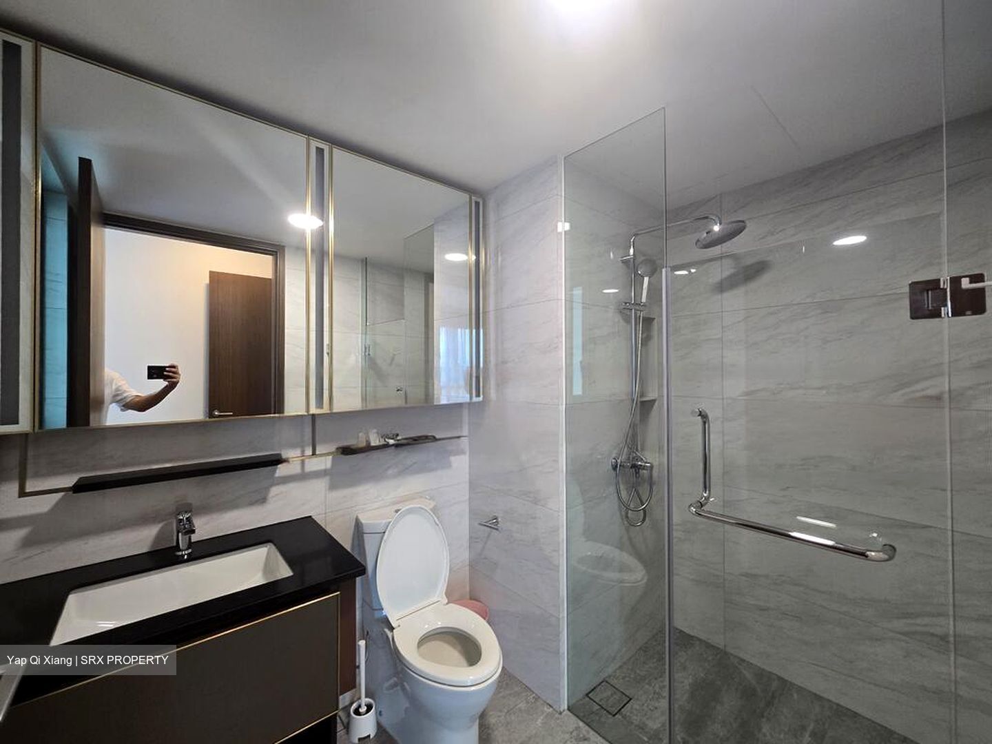 Normanton Park (D5), Apartment #537192911